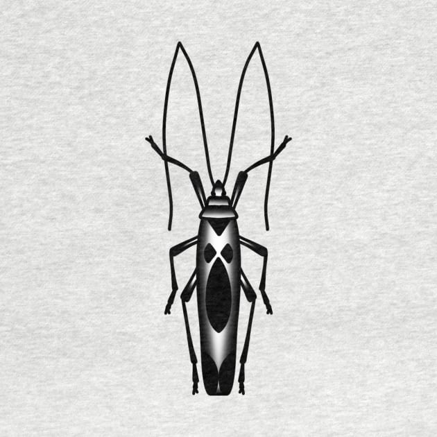 Beetle by drawingsbydarcy